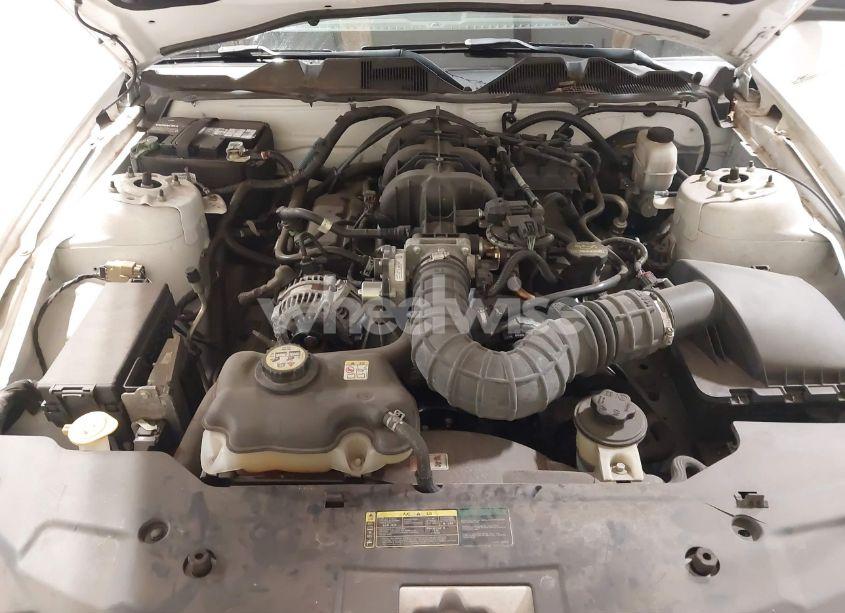 Photo 10 of 2010 Ford Mustang V6/V6 PREMIUM (VIN 1ZVBP8AN8A5118697)