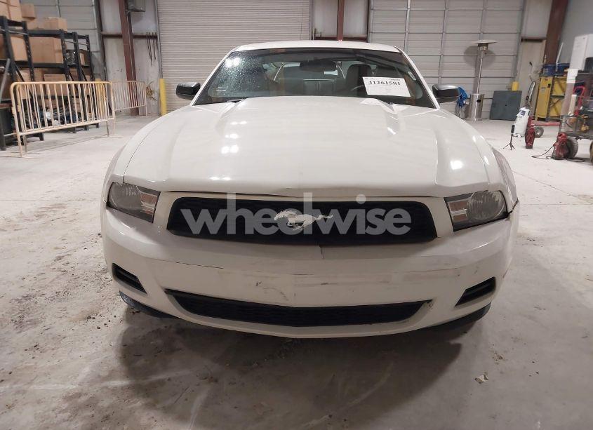 Photo 6 of 2010 Ford Mustang V6/V6 PREMIUM (VIN 1ZVBP8AN8A5118697)