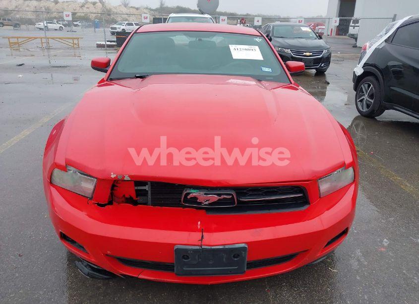 Photo 12 of 2010 Ford Mustang (VIN 1ZVBP8AN8A5129330)
