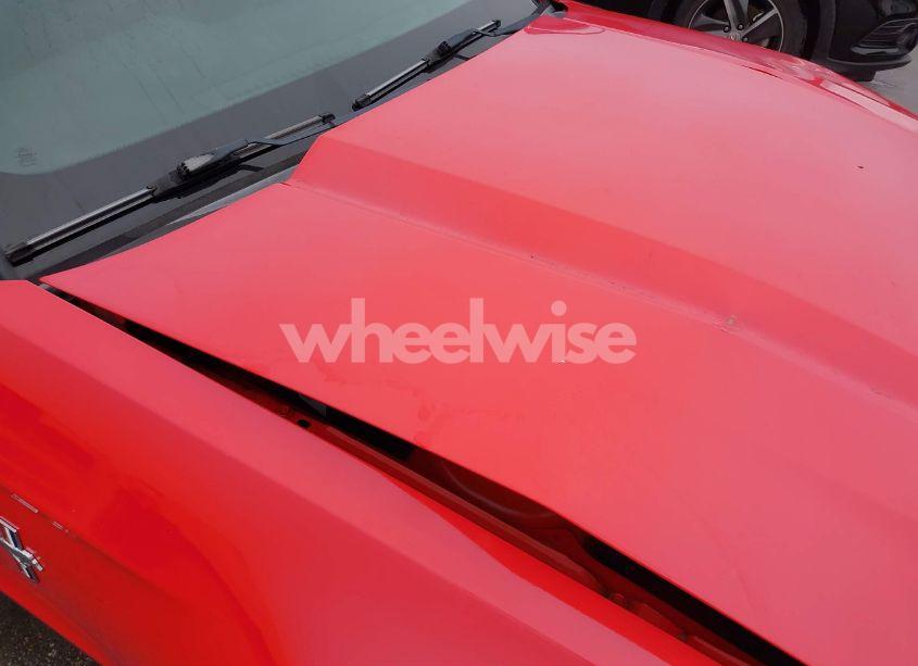 Photo 18 of 2010 Ford Mustang (VIN 1ZVBP8AN8A5129330)