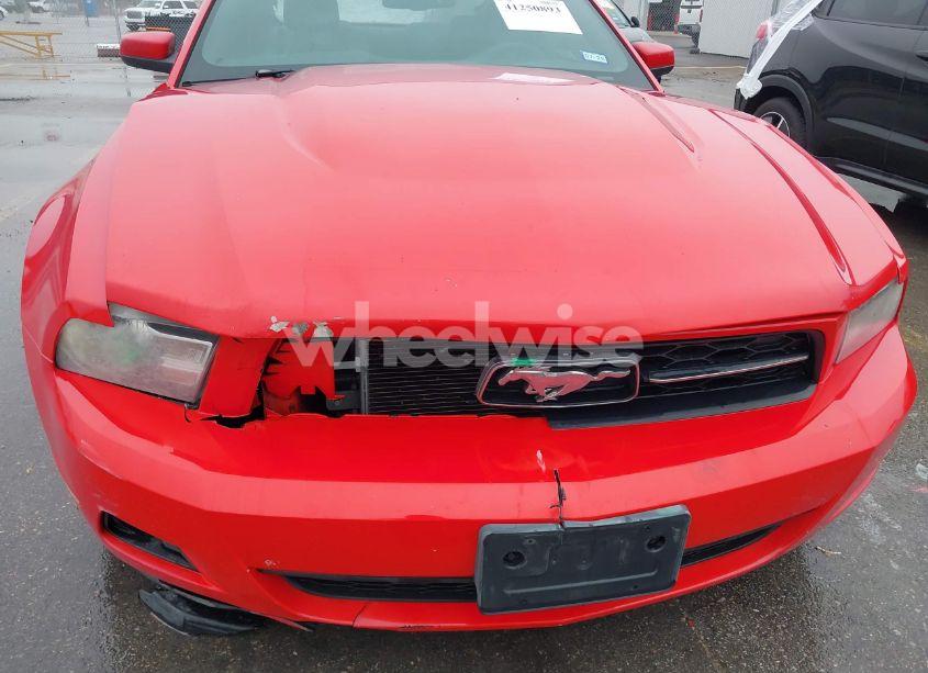 Photo 6 of 2010 Ford Mustang (VIN 1ZVBP8AN8A5129330)