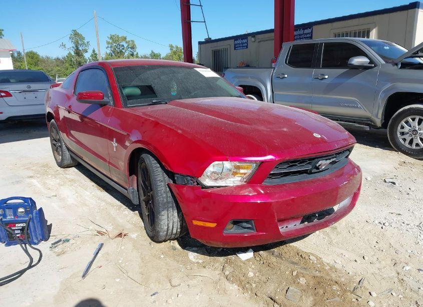 2010 Ford Mustang V6/V6 PREMIUM (VIN 1ZVBP8AN8A5133555) main photo