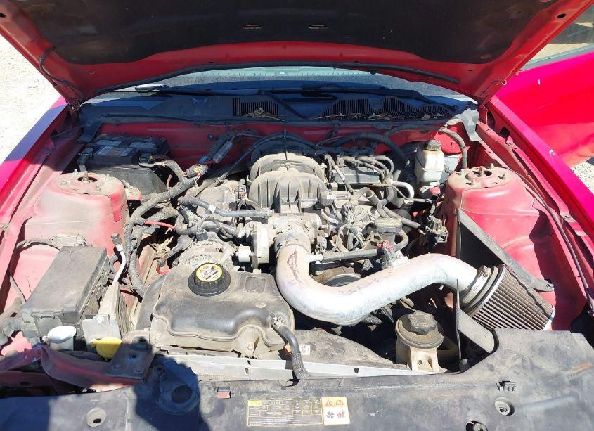 Photo 10 of 2010 Ford Mustang V6/V6 PREMIUM (VIN 1ZVBP8AN8A5136438)