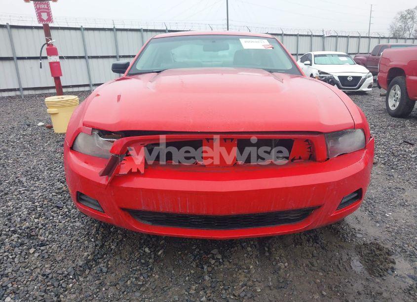Photo 6 of 2010 Ford Mustang V6/V6 PREMIUM (VIN 1ZVBP8AN8A5136438)