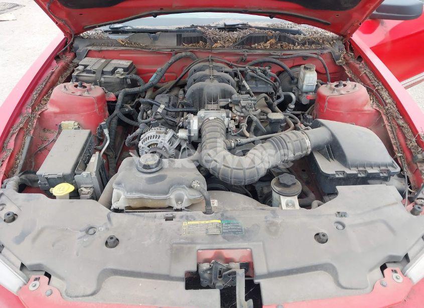 Photo 10 of 2010 Ford Mustang V6/V6 PREMIUM (VIN 1ZVBP8AN8A5153689)