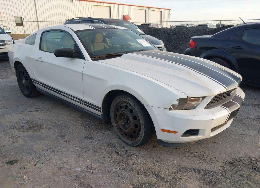 2010 Ford Mustang V6/V6 PREMIUM (VIN 1ZVBP8AN8A5156785) main photo