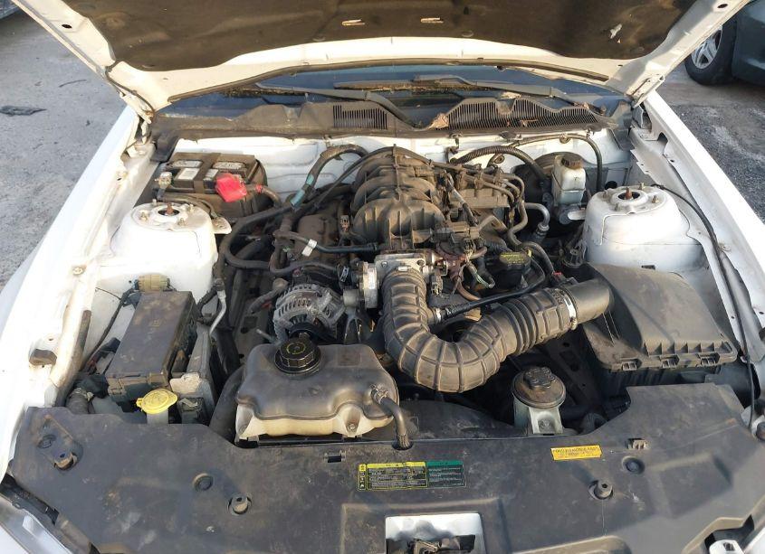 Photo 10 of 2010 Ford Mustang V6/V6 PREMIUM (VIN 1ZVBP8AN8A5156785)