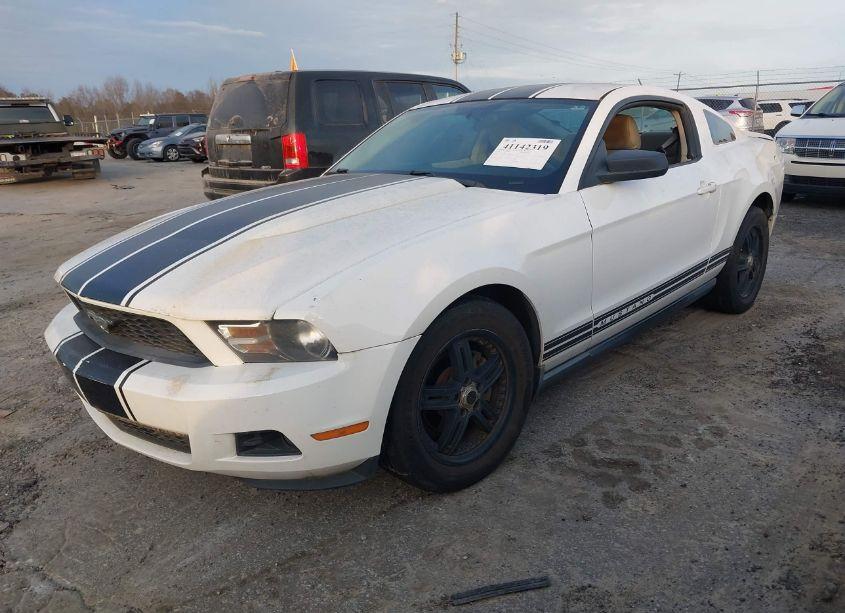 Photo 14 of 2010 Ford Mustang V6/V6 PREMIUM (VIN 1ZVBP8AN8A5156785)