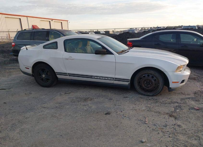 Photo 15 of 2010 Ford Mustang V6/V6 PREMIUM (VIN 1ZVBP8AN8A5156785)