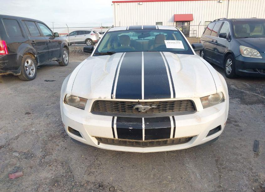 Photo 6 of 2010 Ford Mustang V6/V6 PREMIUM (VIN 1ZVBP8AN8A5156785)
