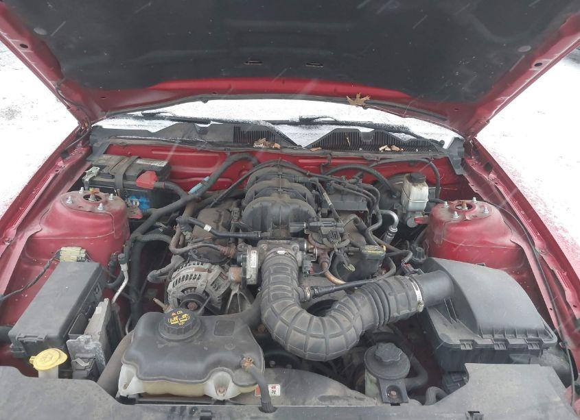 Photo 10 of 2010 Ford Mustang V6/V6 PREMIUM (VIN 1ZVBP8AN9A5159310)