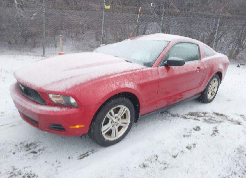 Photo 2 of 2010 Ford Mustang V6/V6 PREMIUM (VIN 1ZVBP8AN9A5159310)