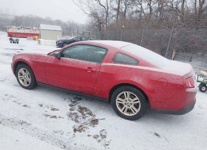 Photo 3 of 2010 Ford Mustang V6/V6 PREMIUM (VIN 1ZVBP8AN9A5159310)