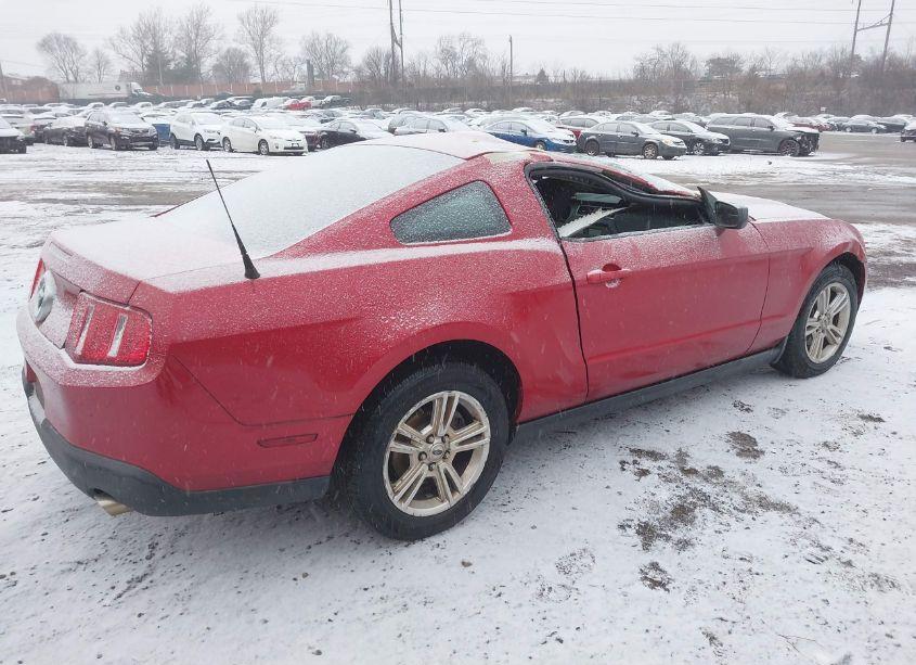 Photo 4 of 2010 Ford Mustang V6/V6 PREMIUM (VIN 1ZVBP8AN9A5159310)