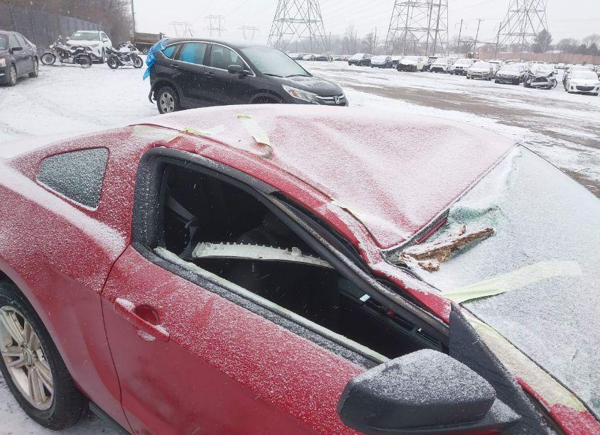 Photo 6 of 2010 Ford Mustang V6/V6 PREMIUM (VIN 1ZVBP8AN9A5159310)