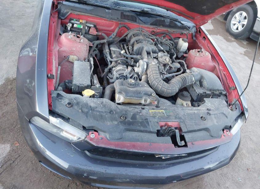 Photo 10 of 2010 Ford Mustang V6/V6 PREMIUM (VIN 1ZVBP8AN9A5169724)