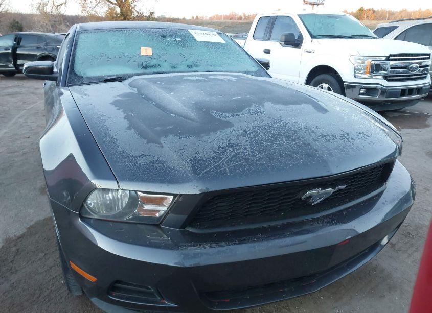 Photo 12 of 2010 Ford Mustang V6/V6 PREMIUM (VIN 1ZVBP8AN9A5169724)