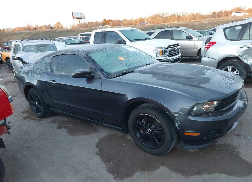 Photo 13 of 2010 Ford Mustang V6/V6 PREMIUM (VIN 1ZVBP8AN9A5169724)
