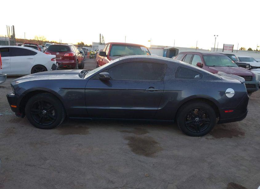 Photo 14 of 2010 Ford Mustang V6/V6 PREMIUM (VIN 1ZVBP8AN9A5169724)
