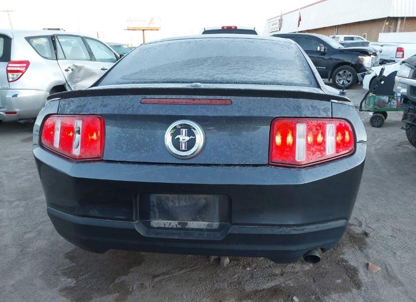 Photo 16 of 2010 Ford Mustang V6/V6 PREMIUM (VIN 1ZVBP8AN9A5169724)