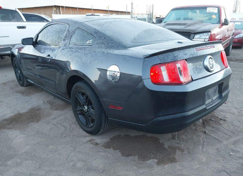 Photo 3 of 2010 Ford Mustang V6/V6 PREMIUM (VIN 1ZVBP8AN9A5169724)
