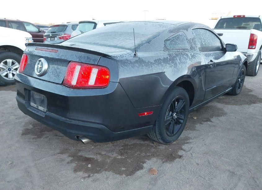 Photo 4 of 2010 Ford Mustang V6/V6 PREMIUM (VIN 1ZVBP8AN9A5169724)