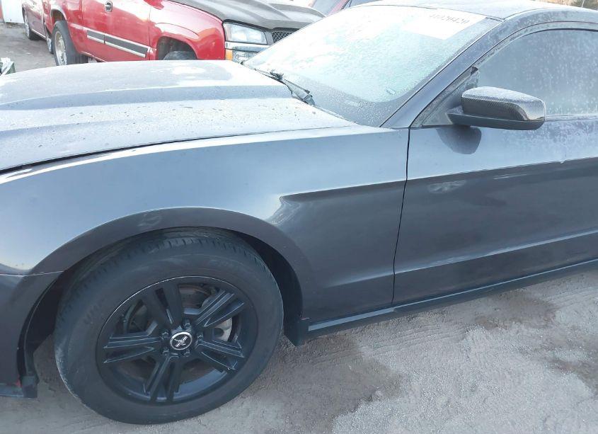 Photo 6 of 2010 Ford Mustang V6/V6 PREMIUM (VIN 1ZVBP8AN9A5169724)