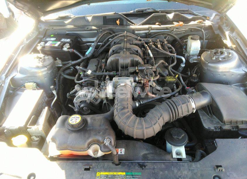 Photo 10 of 2010 Ford Mustang V6/V6 PREMIUM (VIN 1ZVBP8ANXA5137431)