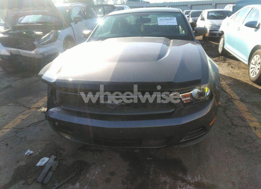 Photo 11 of 2010 Ford Mustang V6/V6 PREMIUM (VIN 1ZVBP8ANXA5137431)