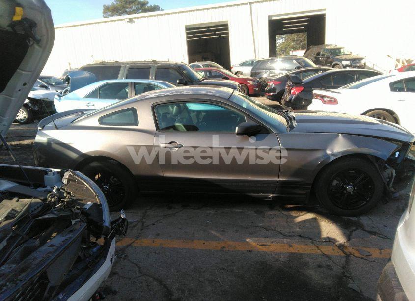 Photo 12 of 2010 Ford Mustang V6/V6 PREMIUM (VIN 1ZVBP8ANXA5137431)