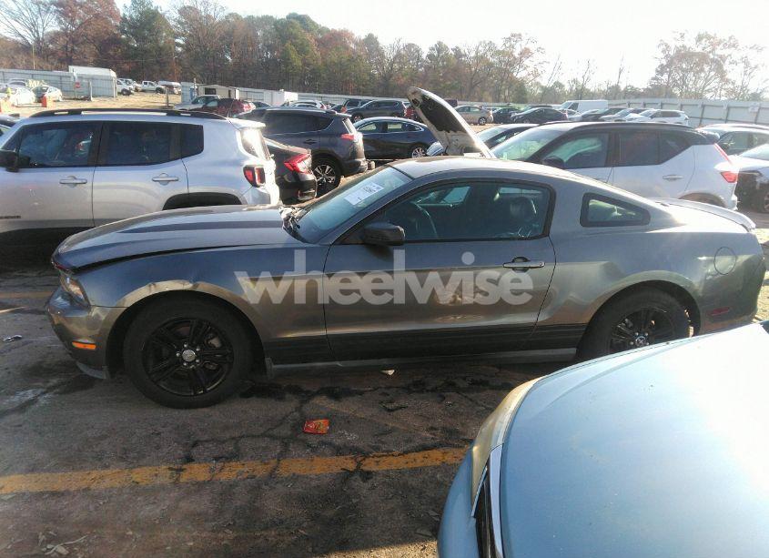 Photo 13 of 2010 Ford Mustang V6/V6 PREMIUM (VIN 1ZVBP8ANXA5137431)