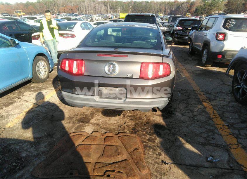 Photo 15 of 2010 Ford Mustang V6/V6 PREMIUM (VIN 1ZVBP8ANXA5137431)