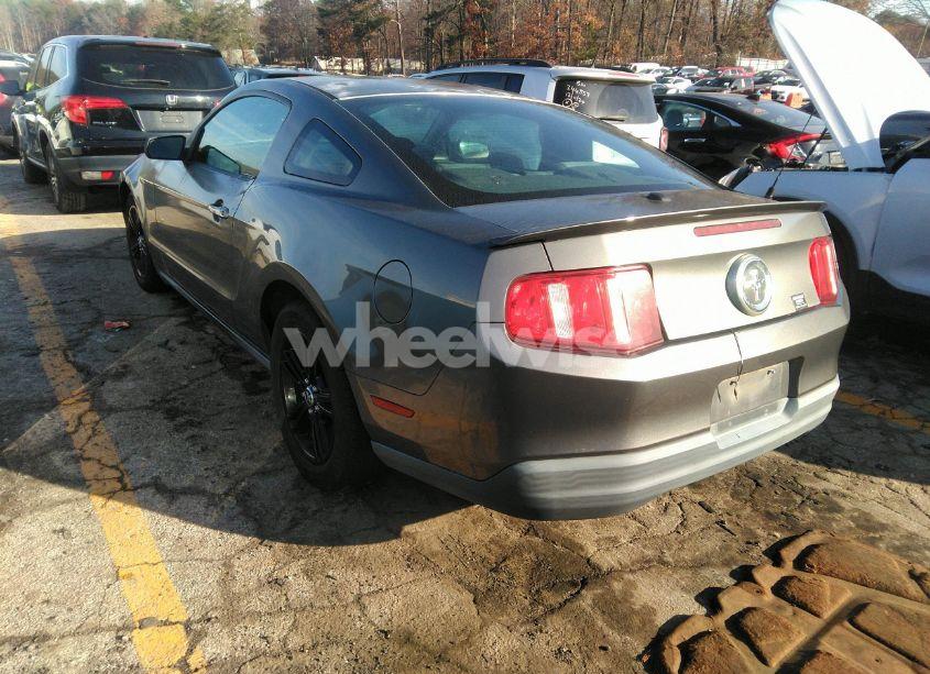 Photo 3 of 2010 Ford Mustang V6/V6 PREMIUM (VIN 1ZVBP8ANXA5137431)