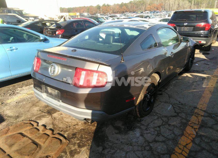 Photo 4 of 2010 Ford Mustang V6/V6 PREMIUM (VIN 1ZVBP8ANXA5137431)