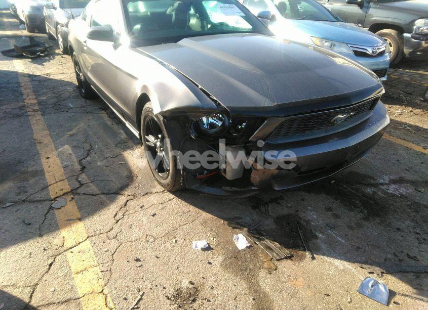 Photo 6 of 2010 Ford Mustang V6/V6 PREMIUM (VIN 1ZVBP8ANXA5137431)