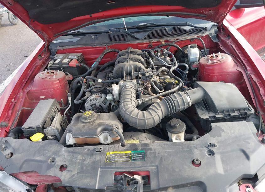 Photo 10 of 2010 Ford Mustang V6/V6 PREMIUM (VIN 1ZVBP8ANXA5152205)