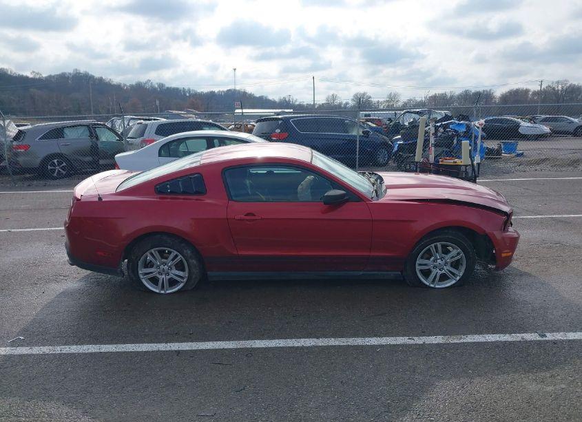 Photo 13 of 2010 Ford Mustang V6/V6 PREMIUM (VIN 1ZVBP8ANXA5152205)