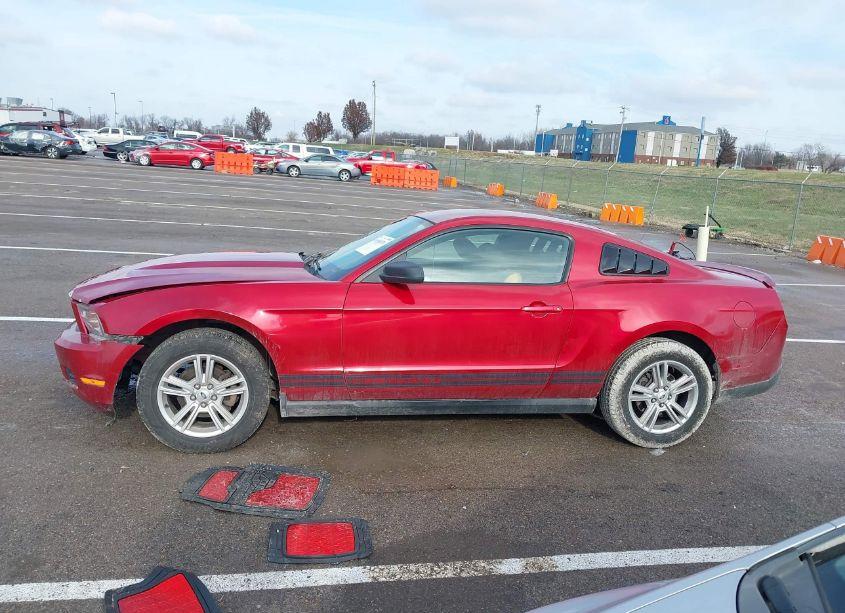 Photo 14 of 2010 Ford Mustang V6/V6 PREMIUM (VIN 1ZVBP8ANXA5152205)