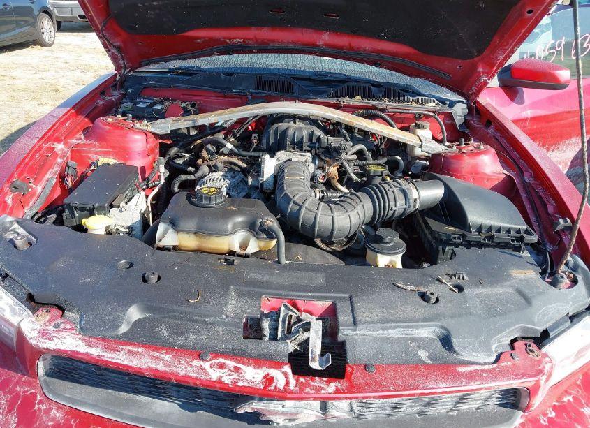 Photo 10 of 2010 Ford Mustang V6/V6 PREMIUM (VIN 1ZVBP8ANXA5155735)