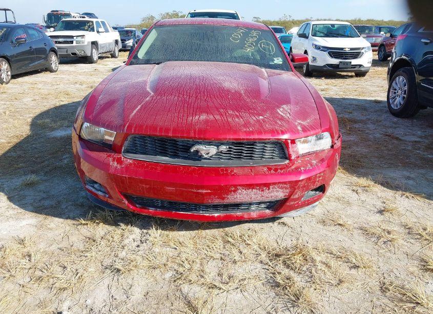 Photo 13 of 2010 Ford Mustang V6/V6 PREMIUM (VIN 1ZVBP8ANXA5155735)