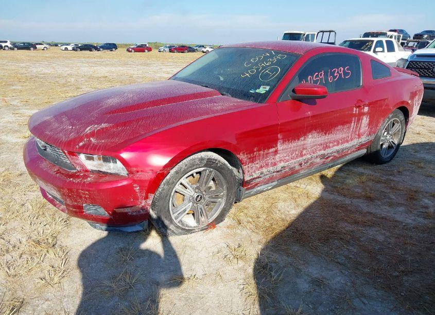 Photo 2 of 2010 Ford Mustang V6/V6 PREMIUM (VIN 1ZVBP8ANXA5155735)