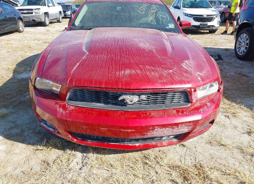 Photo 6 of 2010 Ford Mustang V6/V6 PREMIUM (VIN 1ZVBP8ANXA5155735)