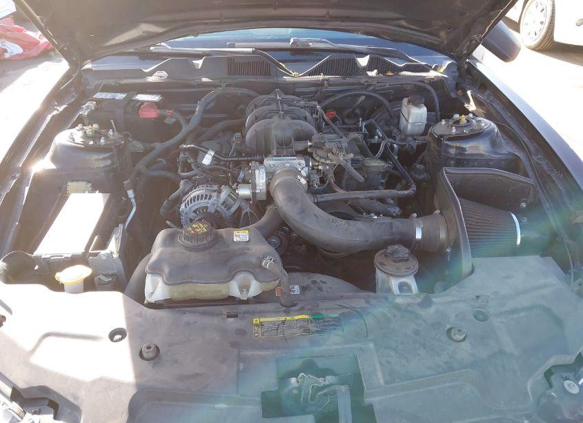 Photo 10 of 2010 Ford Mustang V6/V6 PREMIUM (VIN 1ZVBP8ANXA5173782)