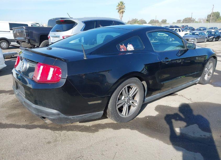 Photo 4 of 2010 Ford Mustang V6/V6 PREMIUM (VIN 1ZVBP8ANXA5173782)