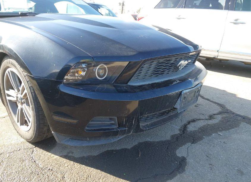 Photo 6 of 2010 Ford Mustang V6/V6 PREMIUM (VIN 1ZVBP8ANXA5173782)