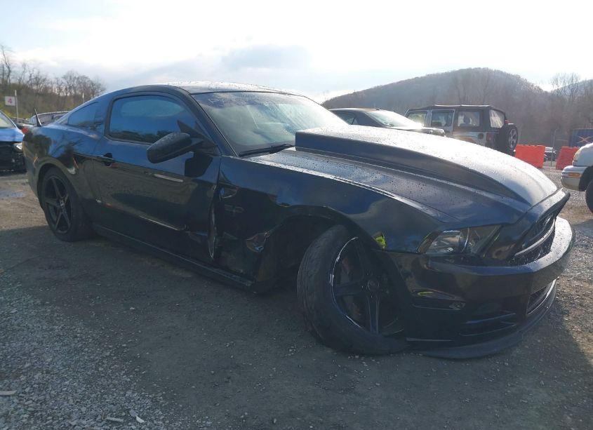 2013 Ford Mustang GT (VIN 1ZVBP8CF1D5240974) main photo