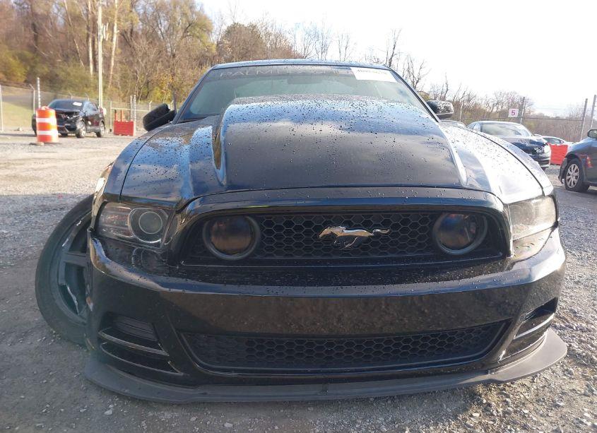 Photo 12 of 2013 Ford Mustang GT (VIN 1ZVBP8CF1D5240974)