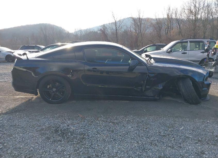 Photo 13 of 2013 Ford Mustang GT (VIN 1ZVBP8CF1D5240974)