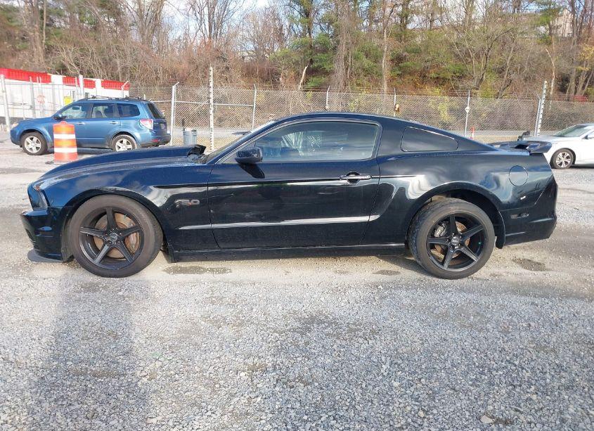 Photo 14 of 2013 Ford Mustang GT (VIN 1ZVBP8CF1D5240974)