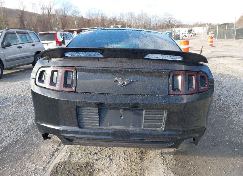 Photo 16 of 2013 Ford Mustang GT (VIN 1ZVBP8CF1D5240974)